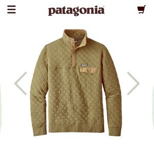 Patagonia Men’s Organic Quilt Snap T Pullover
